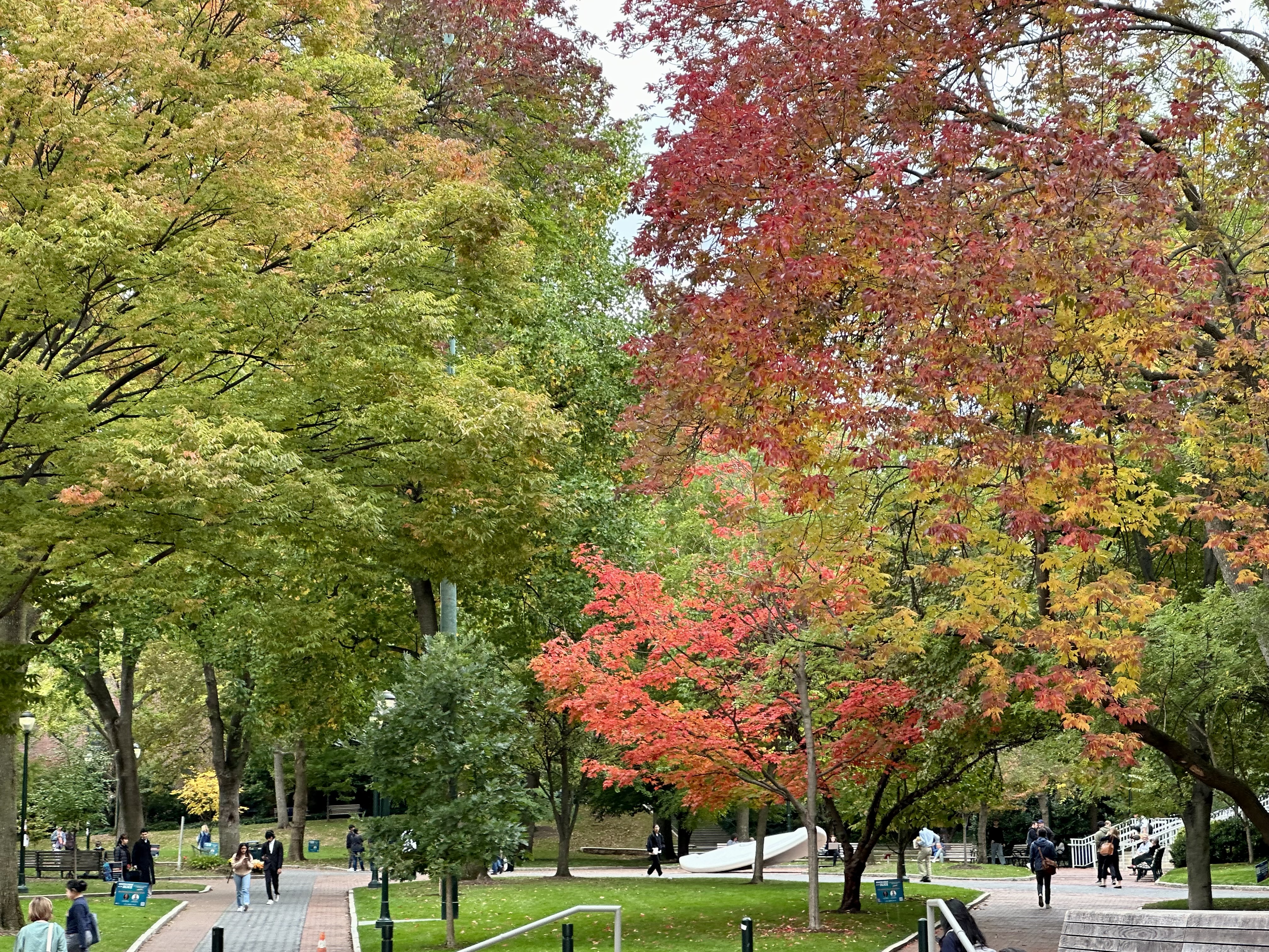 Colorful Autumn in Campus