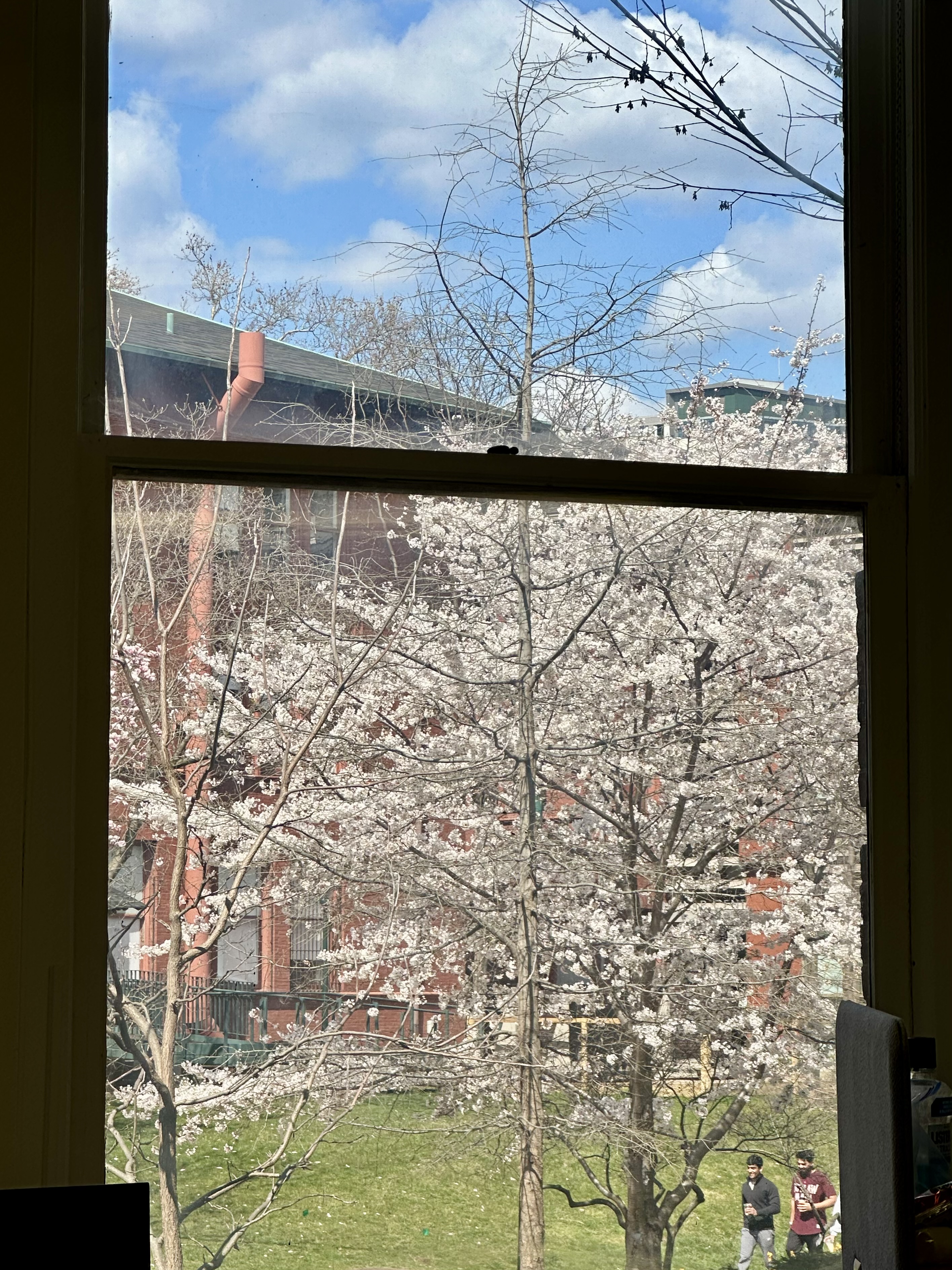 Dynamic Oil Painting