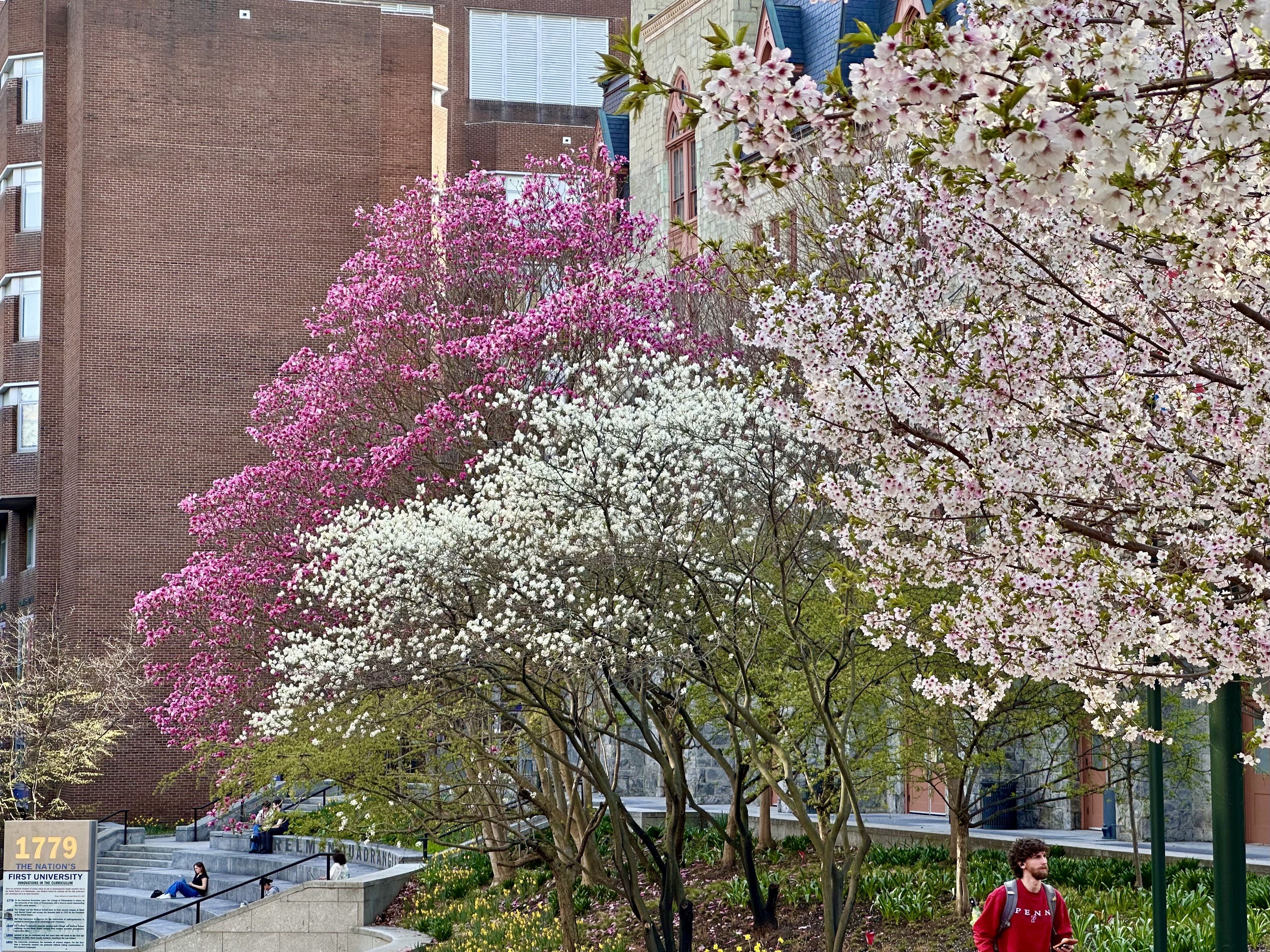 Spring in Campus